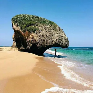 palmeras-del-mar.top-hotels-puertorico.com/